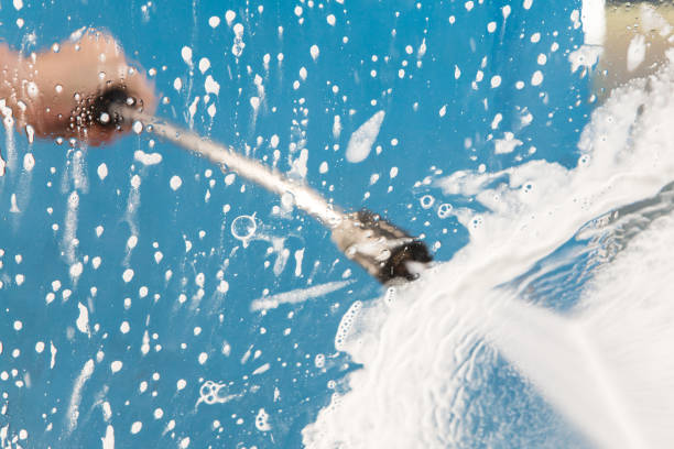 Best Soft Washing  in Hainesvle, IL