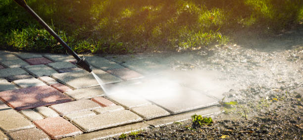 Best Animal Enclosure Cleaning  in Hainesvle, IL