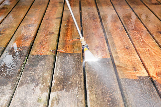 Best Solar Panel Cleaning  in Hainesvle, IL